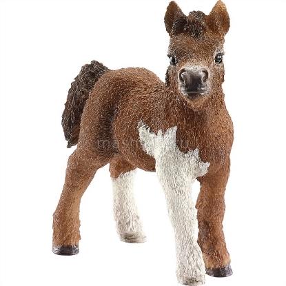 Изображение SCHLEICH Шотландский пони жеребенок