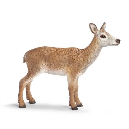 Изображение SCHLEICH Олень благородный: самка