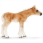 Изображение SCHLEICH Лошадь Хафлингерский жеребенок