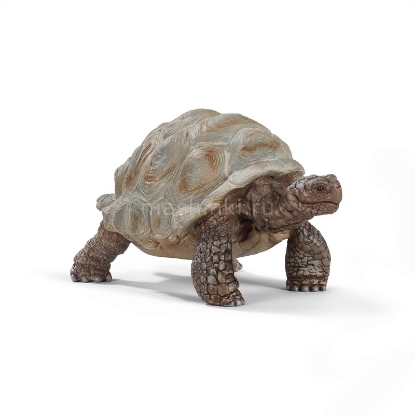 Изображение SCHLEICH Гигантская черепаха