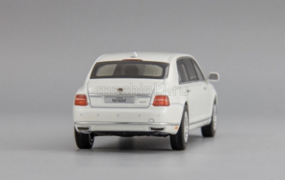Изображение DIP 1/43 AURUS Senat Limousine 2018 white