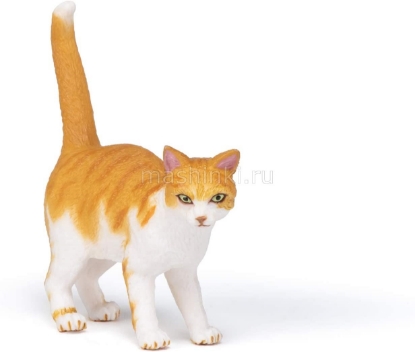 Изображение PAPO Кошка: кот рыжий