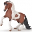 Изображение PAPO Лошадь: кобыла коб ирландский бело-коричневый