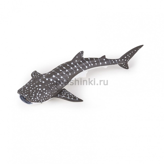Изображение PAPO Морская акула китовая детеныш