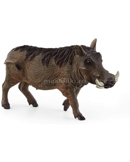 Изображение SCHLEICH Бородавочник (семейство свиных)