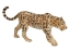 Изображение Фигурка MOJO Кошачьи: леопард