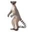 Изображение Фигурка MOJO Лемур кошачий