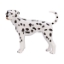 Изображение Фигурка MOJO Собака далматин