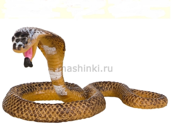 Изображение MASAI MARA Змея кобра