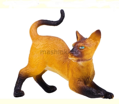 Изображение MASAI MARA Кошка абиссинская