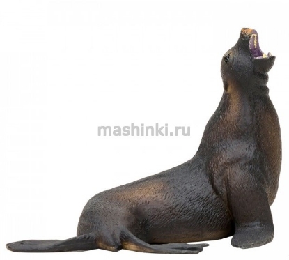Изображение MASAI MARA Морской лев орущий