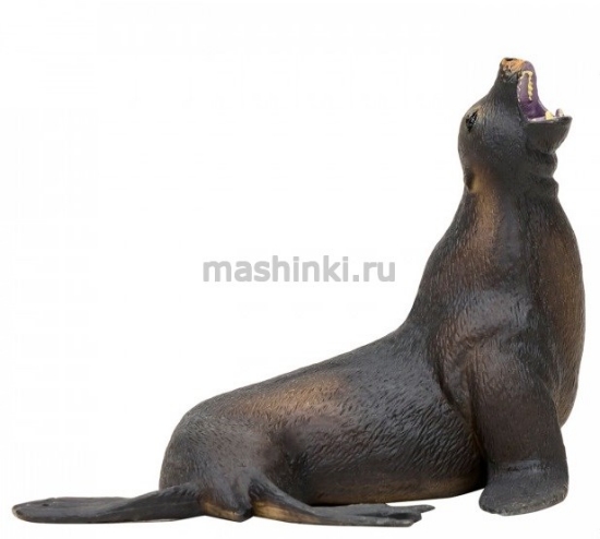 Изображение MASAI MARA Морской лев орущий