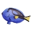 Изображение MOJO Рыба голубой хирург