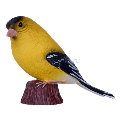 Изображение MOJO Птица щегол американский