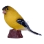 Изображение MOJO Птица щегол американский
